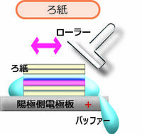 Blotting_6.jpg