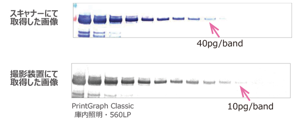 fig4_reference(240131) .jpg