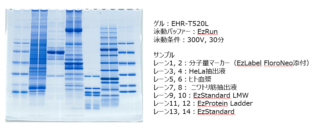 AE-6530 データ１.png