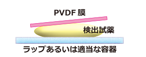 検出.png