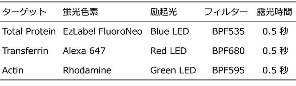 蛍光WB条件_600px.png