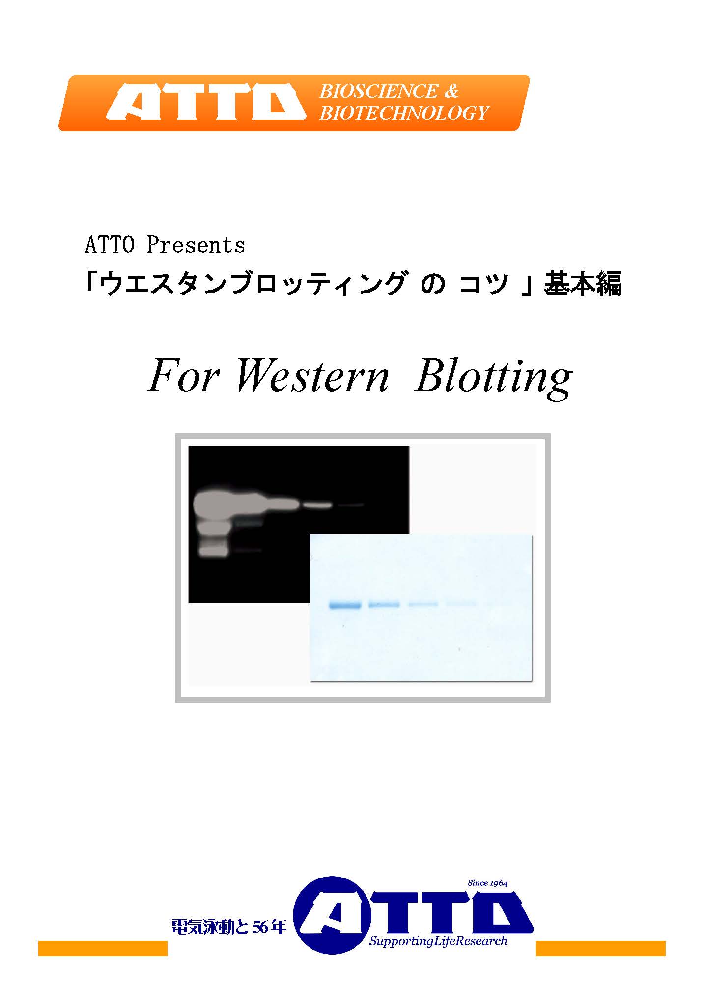 ブロッティングのコツ 202010_ページ_1.jpg
