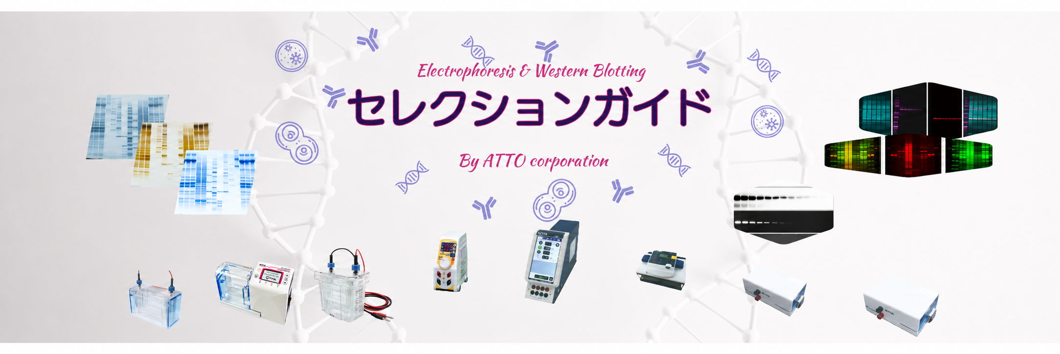 セレクションガイド (1).png