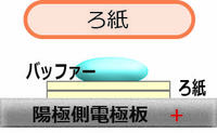 Blotting_3.jpg