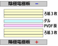 HMW_5.jpg