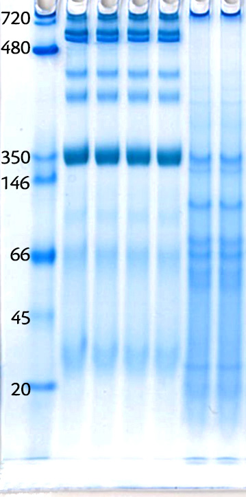 20231004_BN-PAGE_150Vcv_rgb のコピー.png