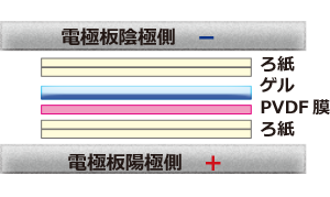 トランスファー開始2.png
