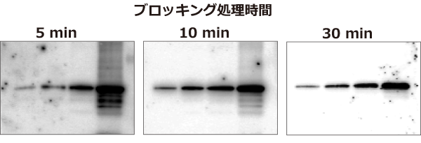実験例2.png