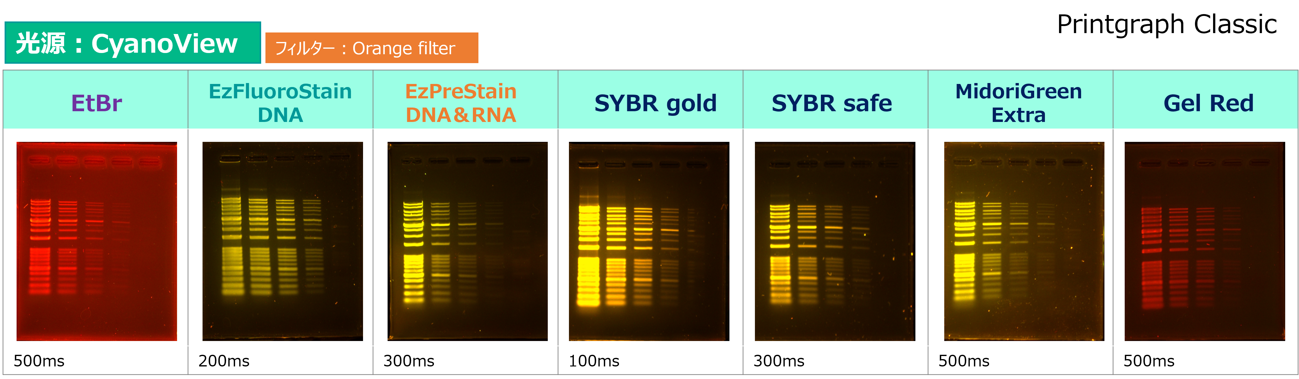 Printgraph Classic DNA Cyan color.png
