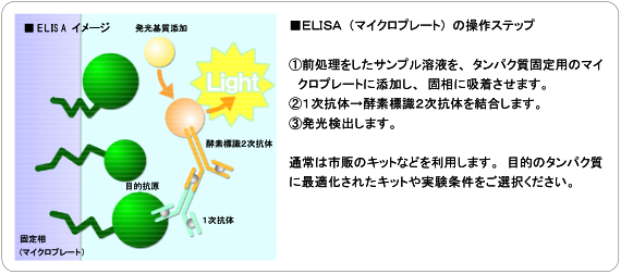 発光検出_5.png