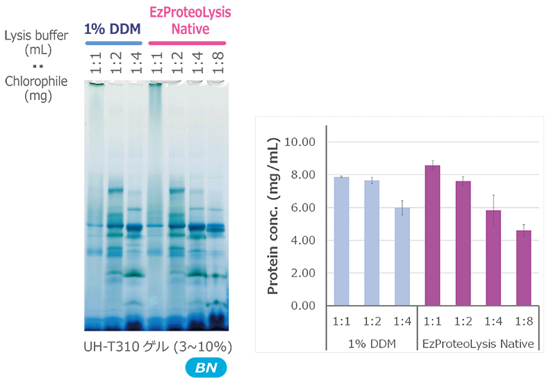 WSE-7424 EzProteoLysis Native_葉緑体の抽出