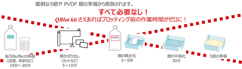 QBlot-Flyer_181218.jpg
