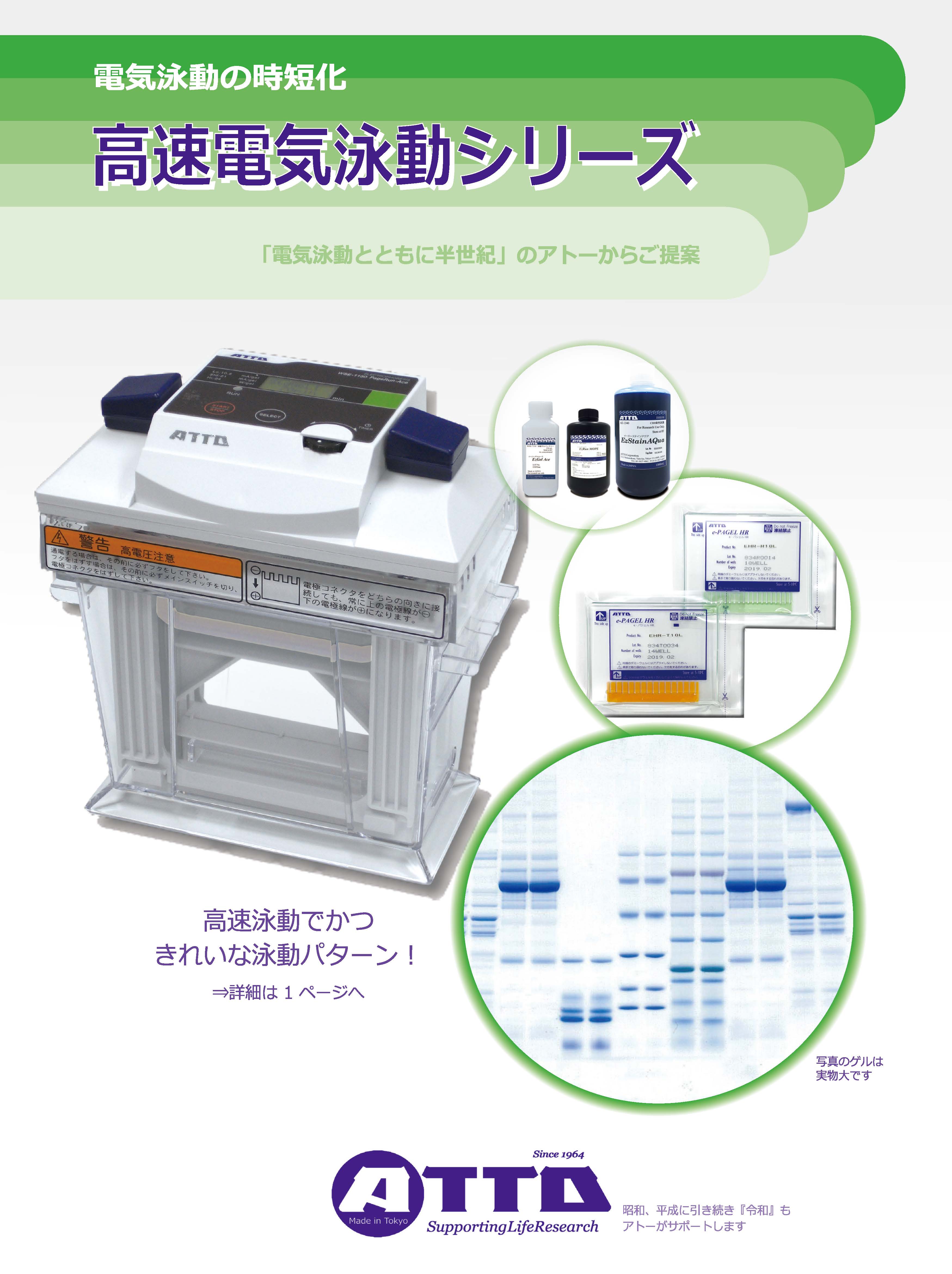 電気泳動とブロッティングの時短化_ページ_1.jpg