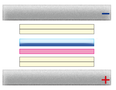 転写図2.png