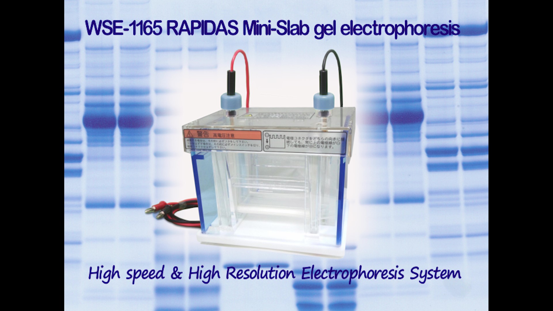 RAPIDAS mini instruction_movie_サムネイル.jpg