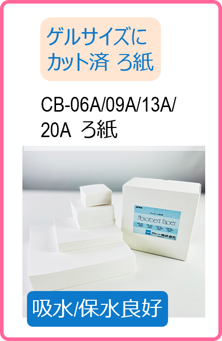 W4 のコピー.png