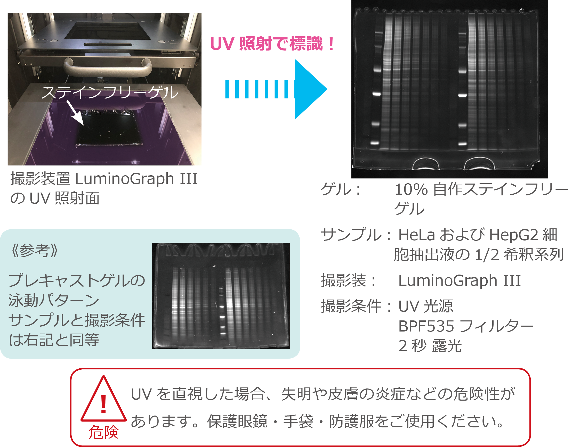 TP4p-3.png
