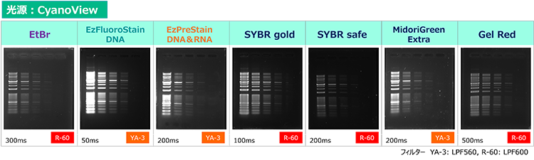 EM-DNA-Cyan-mono_750.png