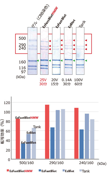 EzFBHMK-date2-web(240214).jpg