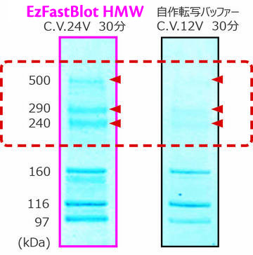 HMW_2.1.jpg