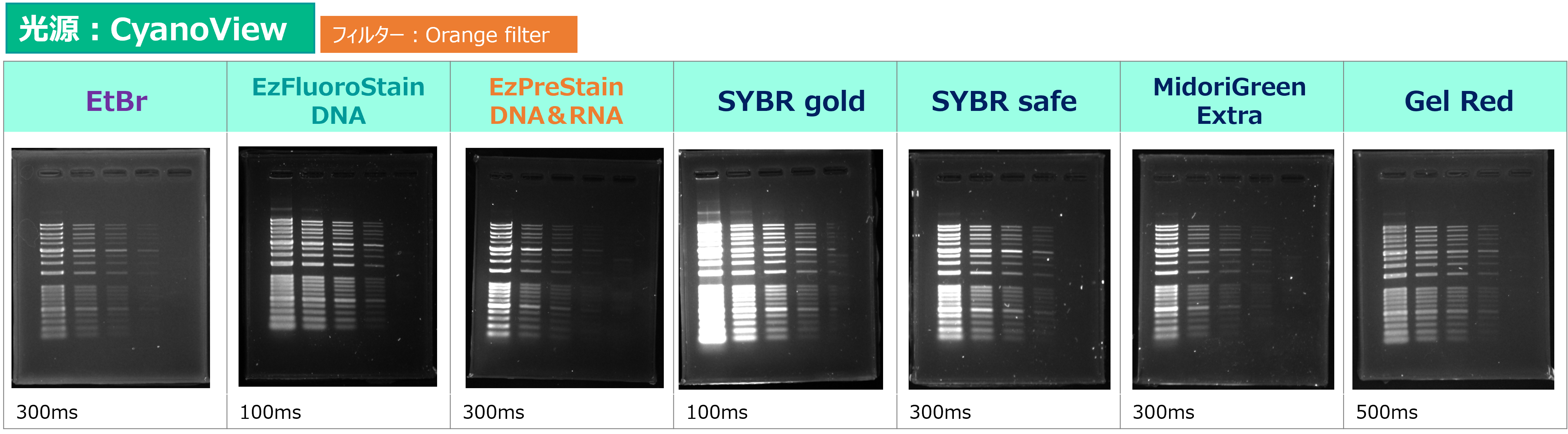 Printgraph Classic DNA Cyan.png