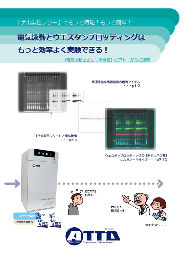 ゲル染色フリー_電気泳動とブロッティングの効率化_ページ_01.jpg