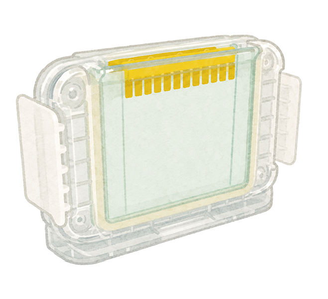 WSE-1390-3.png