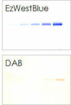 Comparison of detection efficiency with DAB 