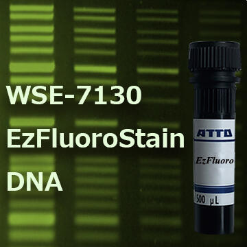 WSE-7130 EzFluoroStain DNA（イージーフロロステイン DNA）